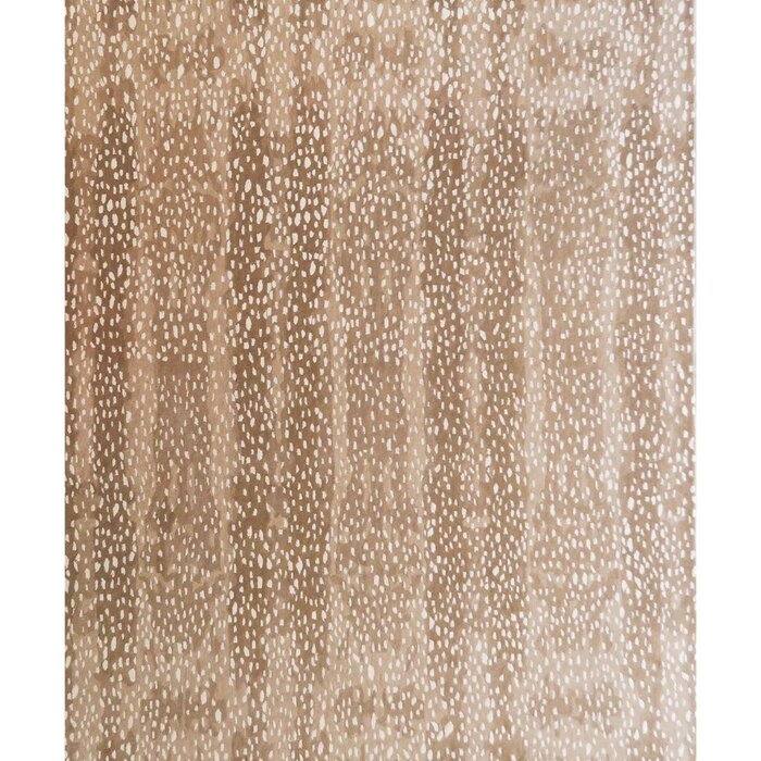 Bokara Rug Co Inc Hand Knotted High Quality Beige Area Rug Reviews Perigold